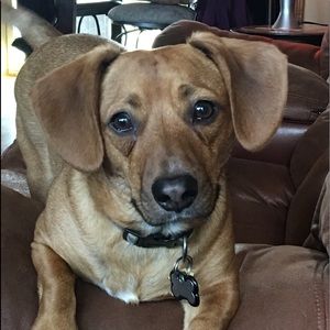 Meet your Posher, Dee